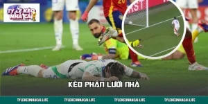 Bật Mí Kèo Phản Lưới Nhà: Đọc Biến Động, Săn Cửa Sáng