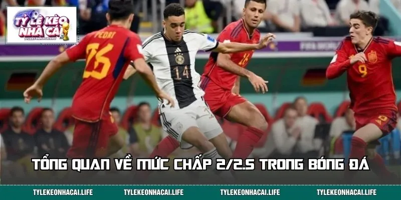 Tổng quan về mức chấp 2/2.5 trong bóng đá